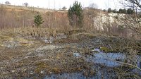 NABU-Kyffhäuserkreis- Aktuell: Bild: NABU-Kyffhäuserkreis- Aktuell:
