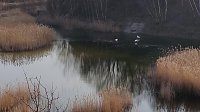 NABU-Kyffhäuserkreis- Aktuell: Bild: NABU-Kyffhäuserkreis- Aktuell:
