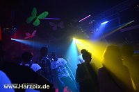 Bild: Houseverliebt im Club Buddha