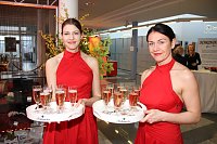 Bild: Jubil&auml;ums-Ball gefeiert