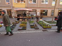 Bild: Ostermarkt in Sondershausen
