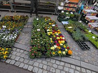 Bild: Ostermarkt in Sondershausen