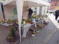 Bild: Ostermarkt in Sondershausen