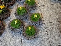 Bild: Ostermarkt in Sondershausen