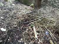 Bild: M&uuml;ll &uuml;ber M&uuml;ll