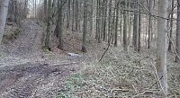 Bild: M&uuml;ll &uuml;ber M&uuml;ll