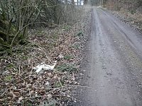 Bild: M&uuml;ll &uuml;ber M&uuml;ll
