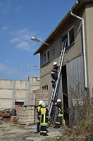Erfolgreich ausgebildeter Nachwuchs Bild: Erfolgreich ausgebildeter Nachwuchs