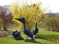 Bild: Saisoner&ouml;ffnung im Sangerh&auml;user Rosarium