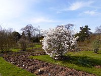 Bild: Saisoner&ouml;ffnung im Sangerh&auml;user Rosarium