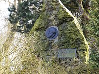 Bild: Saisoner&ouml;ffnung im Sangerh&auml;user Rosarium