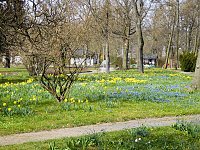 Bild: Saisoner&ouml;ffnung im Sangerh&auml;user Rosarium