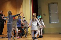 Bild: Karneval der Tiere