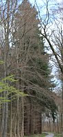 Bild: Wanderregion Sondershausen