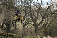 Bild: Goldene Aue Cup in Hamma