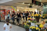 Bild: Flashmob in Sondershausen