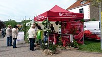Bild: Vom Tag der Vereine und mehr