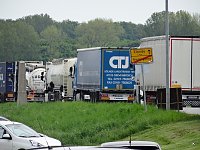Bärin Conny zieht nach Worbis Bild: Bärin Conny zieht nach Worbis