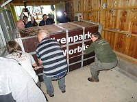 Bärin Conny zieht nach Worbis Bild: Bärin Conny zieht nach Worbis
