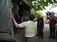 Bärin Conny zieht nach Worbis Bild: Bärin Conny zieht nach Worbis