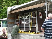 Bärin Conny zieht nach Worbis Bild: Bärin Conny zieht nach Worbis