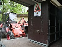 Bärin Conny zieht nach Worbis Bild: Bärin Conny zieht nach Worbis