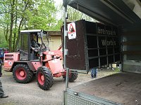 Bärin Conny zieht nach Worbis Bild: Bärin Conny zieht nach Worbis