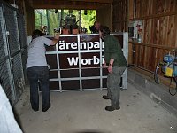 Bärin Conny zieht nach Worbis Bild: Bärin Conny zieht nach Worbis