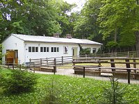 Pfingsten auf der Feuerkuppe Bild: Pfingsten auf der Feuerkuppe