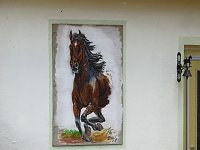 Pfingsten auf der Feuerkuppe Bild: Pfingsten auf der Feuerkuppe