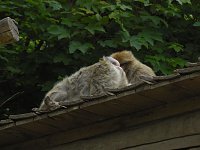 Besuch im Affenwald Bild: Besuch im Affenwald