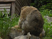 Besuch im Affenwald Bild: Besuch im Affenwald