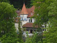 Besuch im Affenwald Bild: Besuch im Affenwald