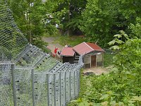 Besuch im Affenwald Bild: Besuch im Affenwald