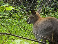 Besuch im Affenwald Bild: Besuch im Affenwald