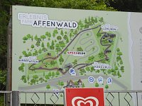 Besuch im Affenwald Bild: Besuch im Affenwald
