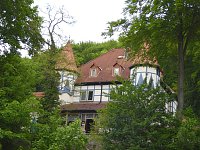 Besuch im Affenwald Bild: Besuch im Affenwald