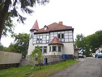 Besuch im Affenwald Bild: Besuch im Affenwald