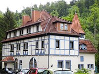 Besuch im Affenwald Bild: Besuch im Affenwald