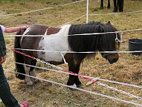 Bild: Besuch auf der Runneburg