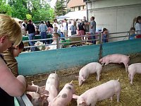 Bild: Auf M&uuml;hlentour (2)
