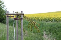 Vandalismus am Radweg? Bild: Vandalismus am Radweg?