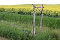 Vandalismus am Radweg? Bild: Vandalismus am Radweg?