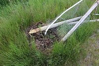 Vandalismus am Radweg? Bild: Vandalismus am Radweg?