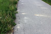 Bild: Jetzt schon Baum&auml;ngel am neuen Radweg?