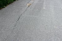 Bild: Jetzt schon Baum&auml;ngel am neuen Radweg?