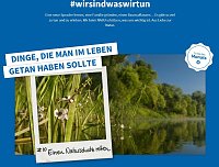 Beweidung Bild: Beweidung