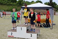 Ergebnisse der 5. Mini-WM Bild: Ergebnisse der 5. Mini-WM