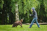 Bild: Mantrailing-Seminar auf dem Sondersh&auml;user Hundeplatz