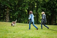 Bild: Mantrailing-Seminar auf dem Sondersh&auml;user Hundeplatz
